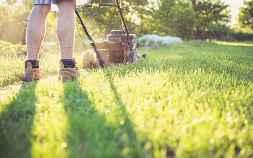 A gardener at work